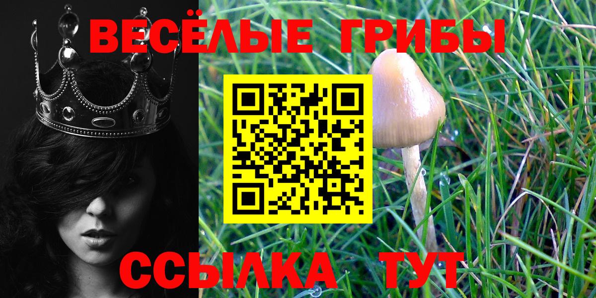 Псилоцибиновые грибы MAGIC MUSHROOMS Сорочинск