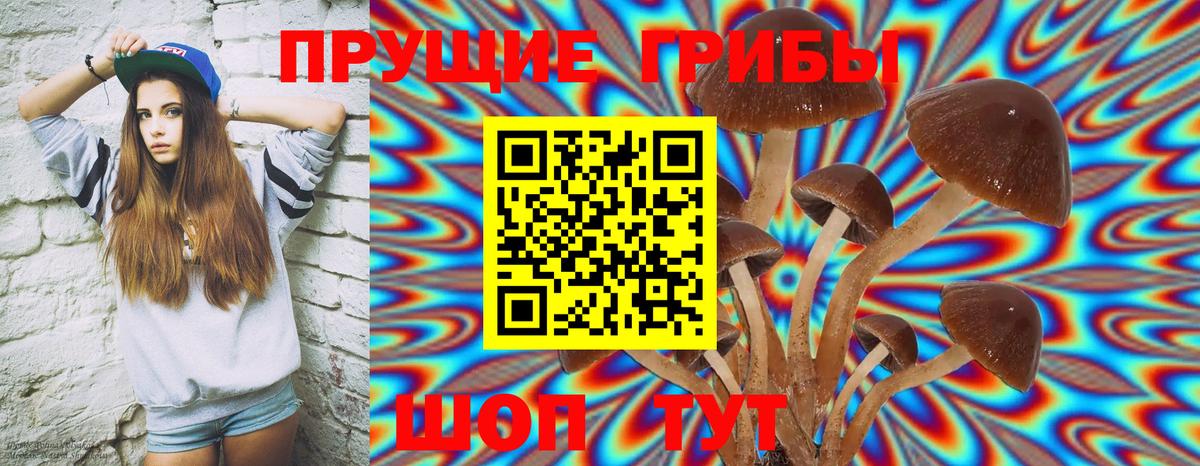 Псилоцибиновые грибы MAGIC MUSHROOMS  Галлюциногенные грибы MAGIC MUSHROOMS  Вход с VPN  Сорочинск 